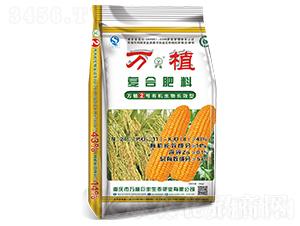 有機長效型復合肥24-11-8-萬植2號