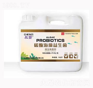 ̼ø����������-�׼{����