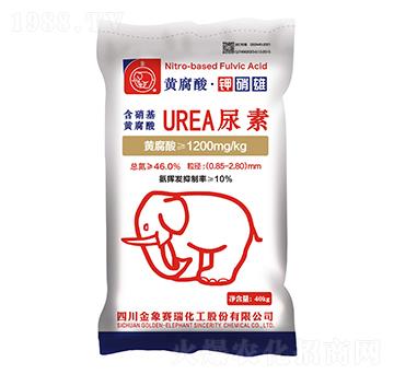 �S���ᡤ�����-����ِ��