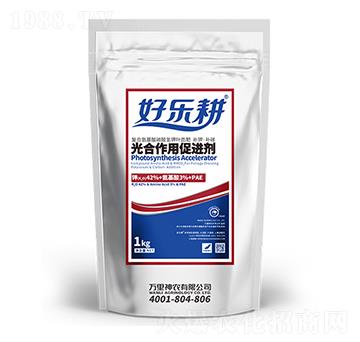 ������ô��M(j��n)�����~��ʣ�-�Ø���-�f�����r(n��ng)