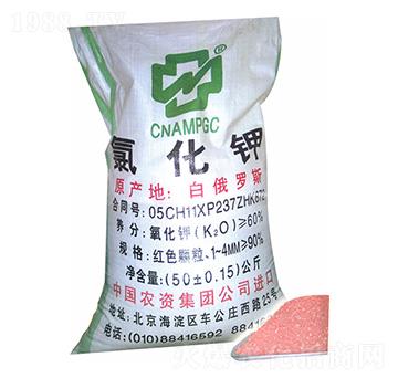 �Ȼ��-���r(n��ng)�r(n��ng)�Y