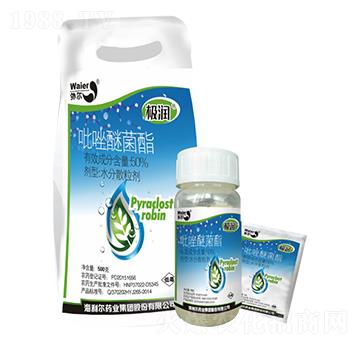 50%�����Ѿ���-�O��(r��n)-������