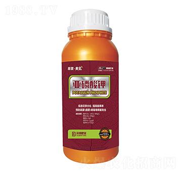 �������-���R������-�ְ�ʘI(y��)