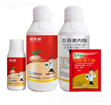 �|̦�؃�(n��i)��-�|���-��С��