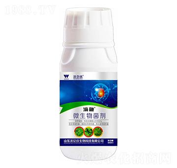 ΢�������-����-�֠���(y��u)