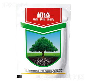 20g深浪根盛-睿智益農(nóng)