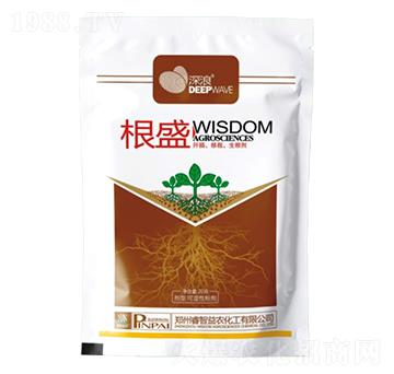 20g根盛-深浪-睿智益農(nóng)