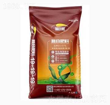 ����܏ͺϷ���19-19-19-����