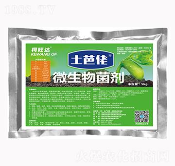 ������΢�������-�����_-�֠���