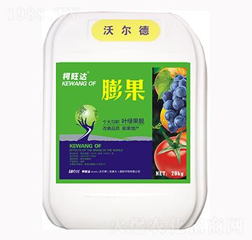 ���-�����_-�֠���