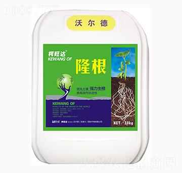 ¡��-�����_-�֠���