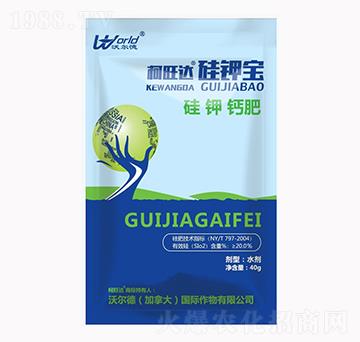 ��⛌�-�����_-�֠���