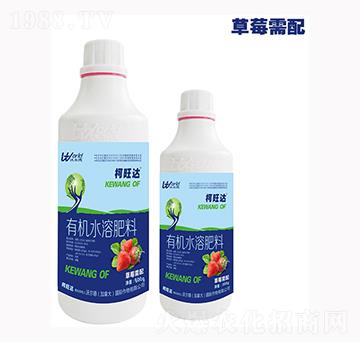 ��ݮ�����~���-�����_-�֠���