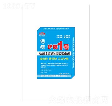 �P���P��1̖(h��o)-(li��n)�r(n��ng)���S��