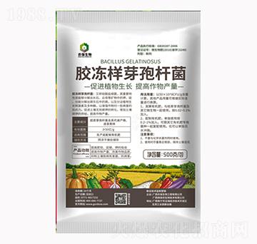 �z����ѿ�ߗU��-�r(n��ng)������