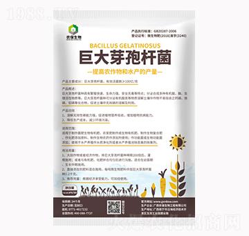 �޴�ѿ�ߗU��-�r(n��ng)������