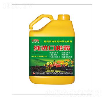 ������-���M(j��n)�ڸ���-���S��