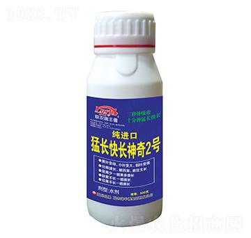 ΢�������-���M(j��n)�����L���L����2̖(h��o)-���S��