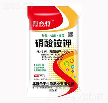 �����@�-��ِ��-ʥ�S