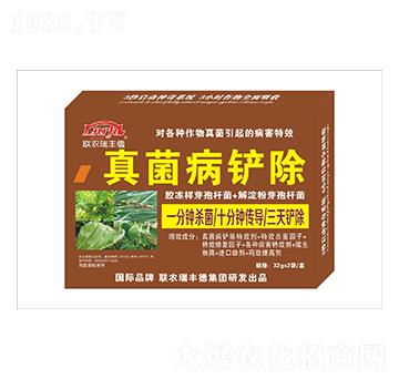 ΢�����-������P��-���S��