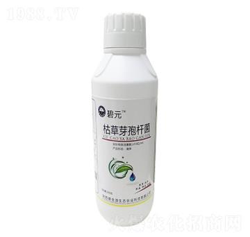 碧元枯草芽孢桿菌-億農(nóng)高科