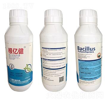 地衣芽孢桿菌-根億健-億農(nóng)高科