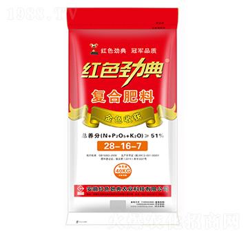 51%С���ͺϷ���28-16-7-�tɫ�ŵ�