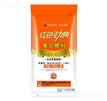 43%�ͺϷ���16-22-5-�tɫ�ŵ�