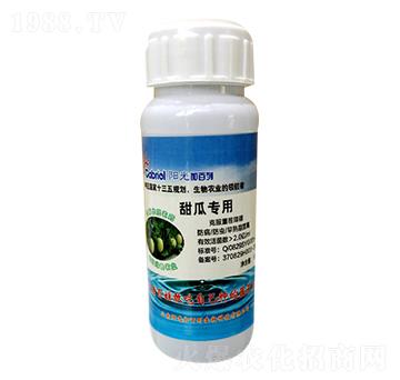 ��ό���-ꖹ�Ӱ���