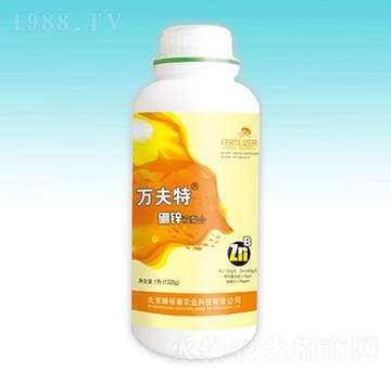 �f(w��n)�������\�p����-��ԣ��