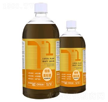 棉花整枝增桃活性劑-棉株美形液-諾思達