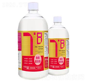 魚膠蛋白肽-諾思達(dá)