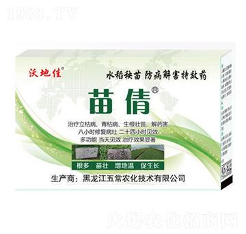 水稻秧苗防病解害專用-苗倩-五常