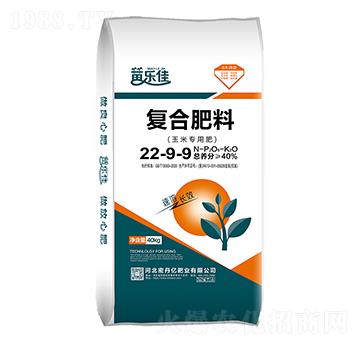 ���׌��Ï�(f��)�Ϸ���22-9-9-�ܵ��|