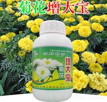 菊花增大寶-杰翔生物