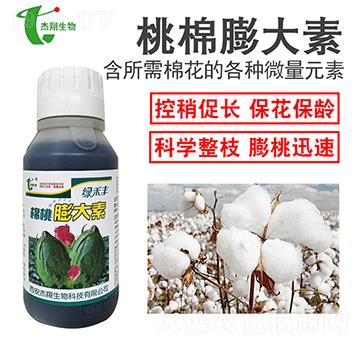 棉桃膨大素-杰翔生物