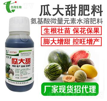 瓜大甜-杰翔生物