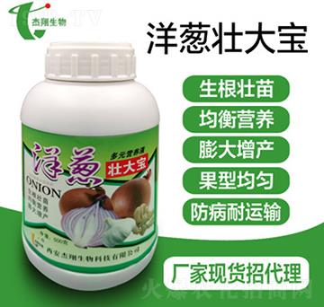 洋蔥壯大素-杰翔生物