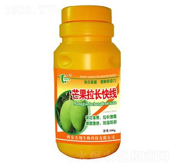 芒果拉長(zhǎng)快線-杰翔生物