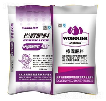 �������-¡������