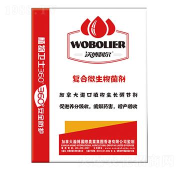 �ֲ������ͺ�΢�������-¡������