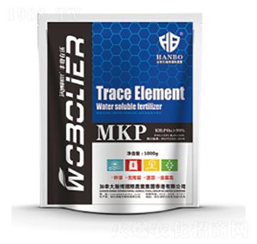 �w���򻯶����-¡������