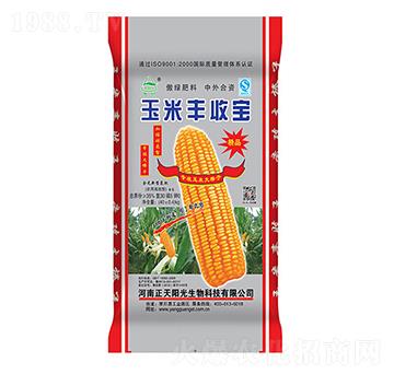 �����S�Ռ�-����ꖹ�