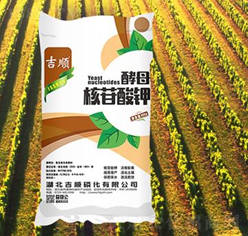 ��ĸ�������-���