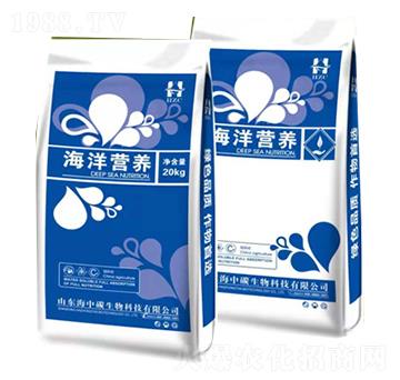 ����I(y��ng)�B(y��ng)-����̼����