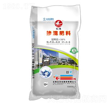 ���׷�ʓ������31-0-5-�t��-���o����