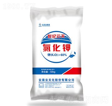 60%�Ȼ��-���o����