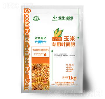 ���컯���׌����~���-���o����