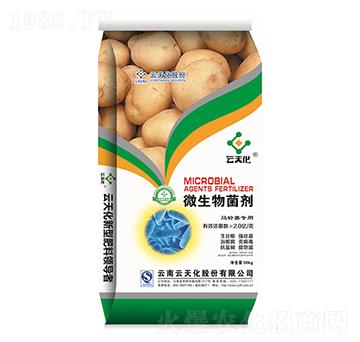 �R��팣��΢�������-���o����