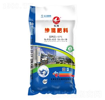 �������19-19-19-�t��-���o����